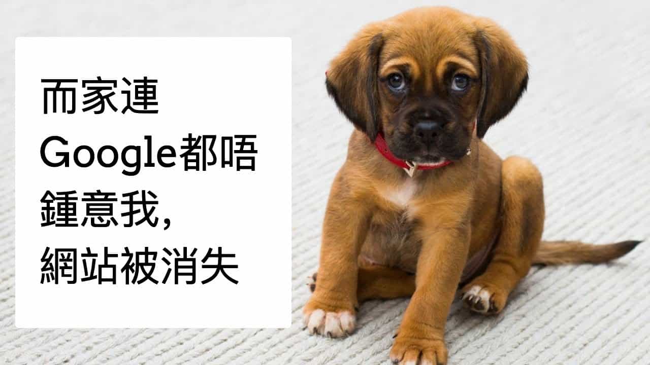 而家連Google都唔鍾意我,網站被消失 de-index? 可以點算? google de-index my site